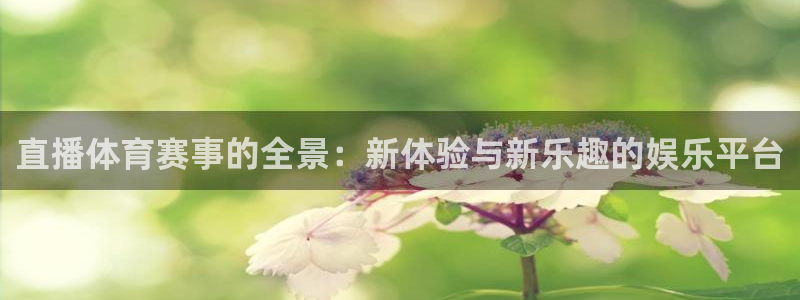 直播体育赛事的全景：新体验与新乐趣的娱乐平台