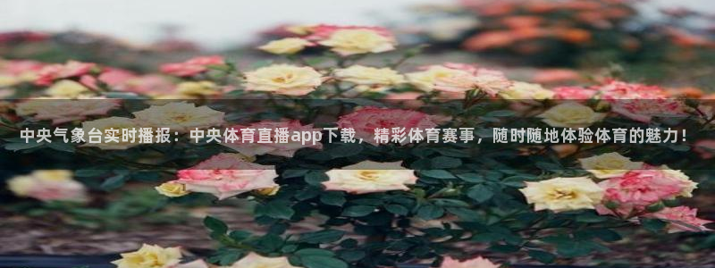 中央气象台实时播报：中央体育直播app下载，精彩体育赛事，随时随地体验体育的魅力！