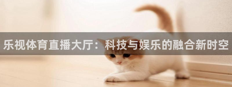 乐视体育直播大厅：科技与娱乐的融合新时空