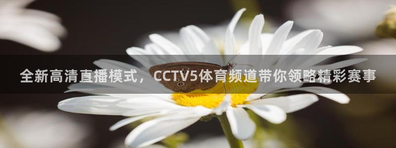 全新高清直播模式，CCTV5体育频道带你领略精彩赛事