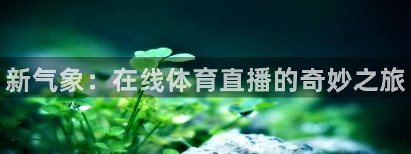 新气象：在线体育直播的奇妙之旅