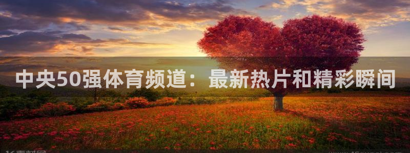 中央50强体育频道：最新热片和精彩瞬间