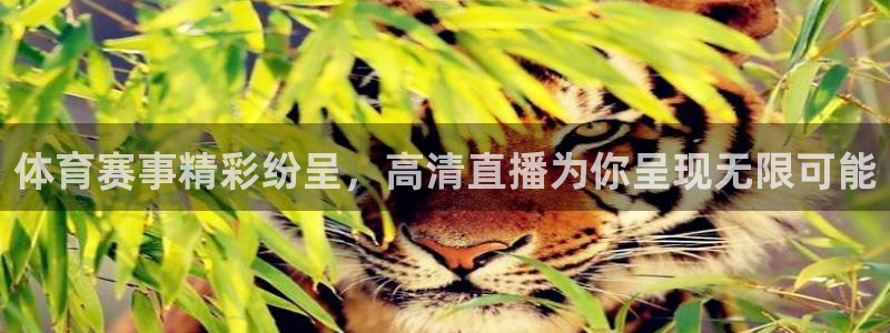 体育赛事精彩纷呈，高清直播为你呈现无限可能