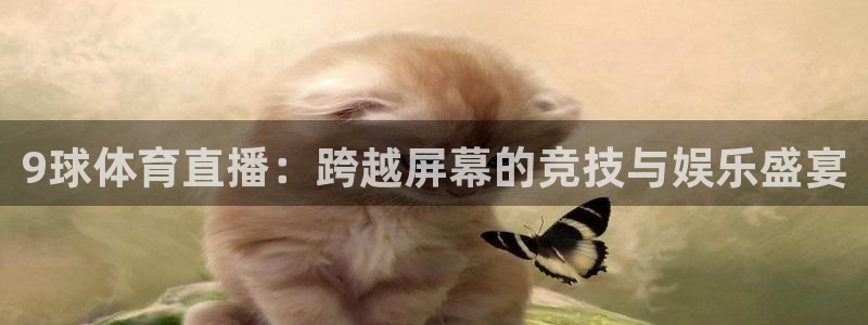 9球体育直播：跨越屏幕的竞技与娱乐盛宴