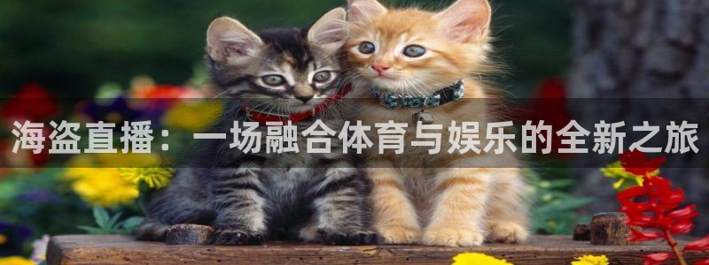 海盗直播：一场融合体育与娱乐的全新之旅