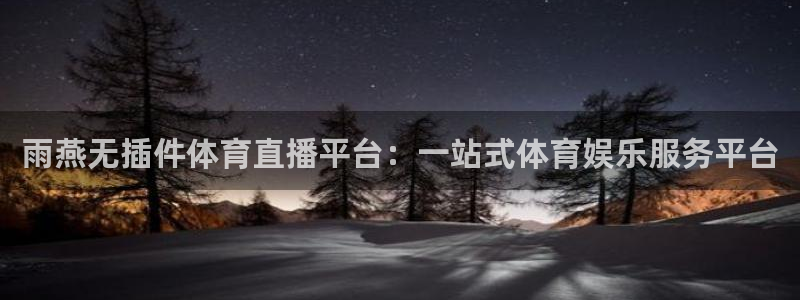 雨燕无插件体育直播平台：一站式体育娱乐服务平台