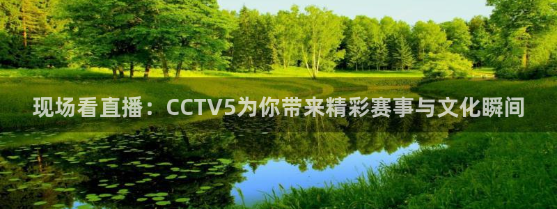 现场看直播：CCTV5为你带来精彩赛事与文化瞬间
