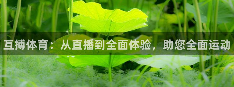 互搏体育：从直播到全面体验，助您全面运动