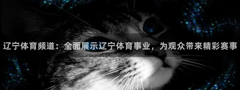 辽宁体育频道：全面展示辽宁体育事业，为观众带来精彩赛事