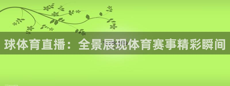 球体育直播：全景展现体育赛事精彩瞬间