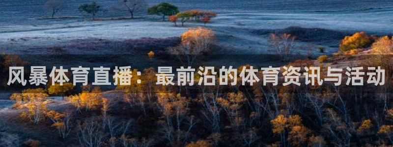 风暴体育直播：最前沿的体育资讯与活动