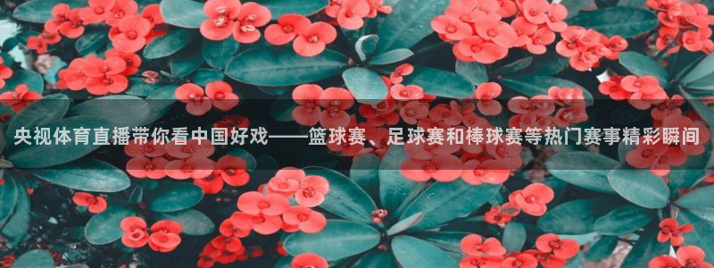 央视体育直播带你看中国好戏——篮球赛、足球赛和棒球赛等热门赛事精彩瞬间