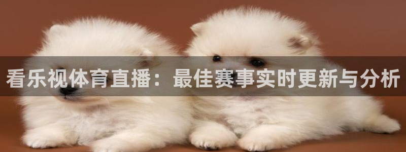看乐视体育直播：最佳赛事实时更新与分析