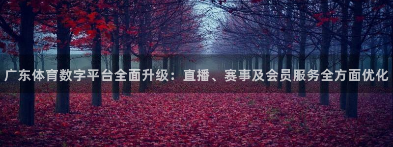广东体育数字平台全面升级：直播、赛事及会员服务全方面优化