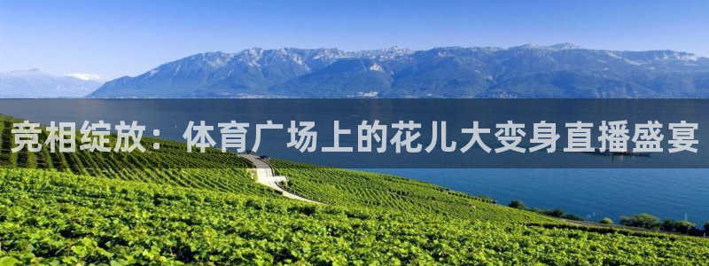 竞相绽放：体育广场上的花儿大变身直播盛宴